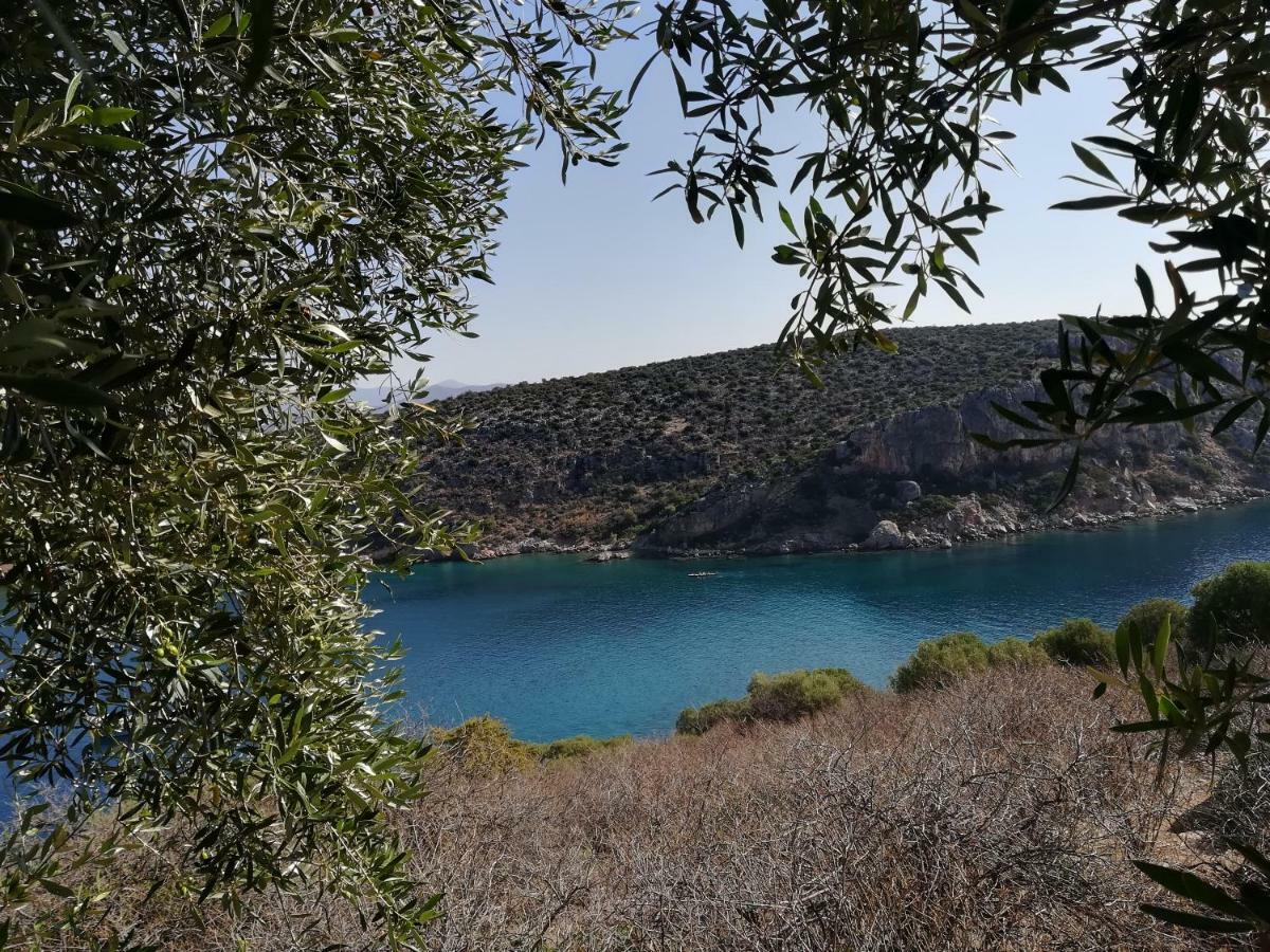 Вилла Stone House In Olive Grove Толон Экстерьер фото