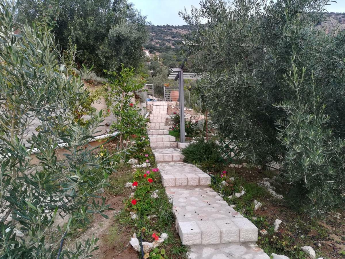 Вилла Stone House In Olive Grove Толон Экстерьер фото